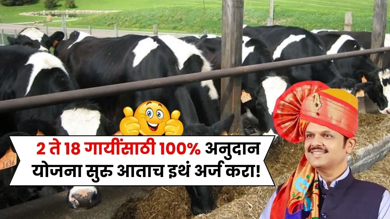 2 ते 18 गायींसाठी सरकार कडून 100% अनुदान योजना झाली सुरु आताच इथं अर्ज करा! Gai Gotha Yojana
